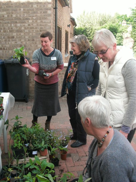 GEDSC DIGITAL CAMERA