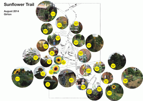 Sunflower-Trail-2014