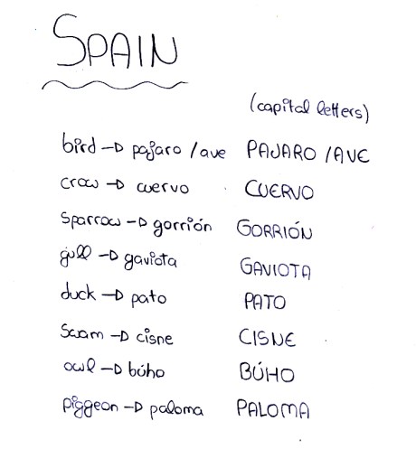 Spanish bird names
